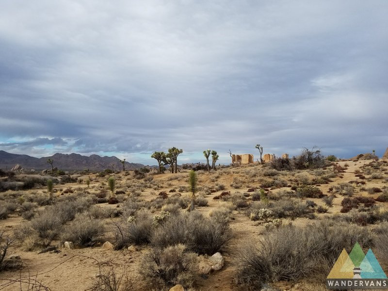 Joshua Tree National Park's Ryan Ranch offers gorgeous views of the surrounding desertscape.