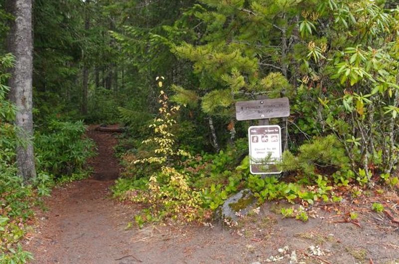 The Pioneer Bridle Trail crosses Hwy 26. This shows the location on the north side of the highway.