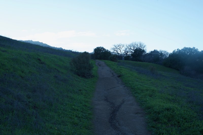 The trail, as it ascends the hill, is made up of crushed gravel and packed dirt.
