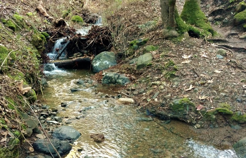 A seasonal stream flows nicely in January after some heavy winter rains.