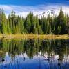 The north end of Trillium Lake is a great spot for bird watching. Photo by Gene Blick.