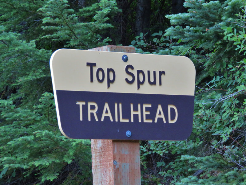 Top Spur Trailhead is located at a wide point in the road and gets very busy on summer afternoons and weekends. Photo by Yunkette.