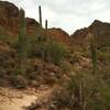 The trail is rocky and rife with saguaro on the way to the saddle.