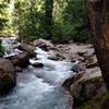 Avalanche Creek cascades through dense forests along the Avalanche Trail.