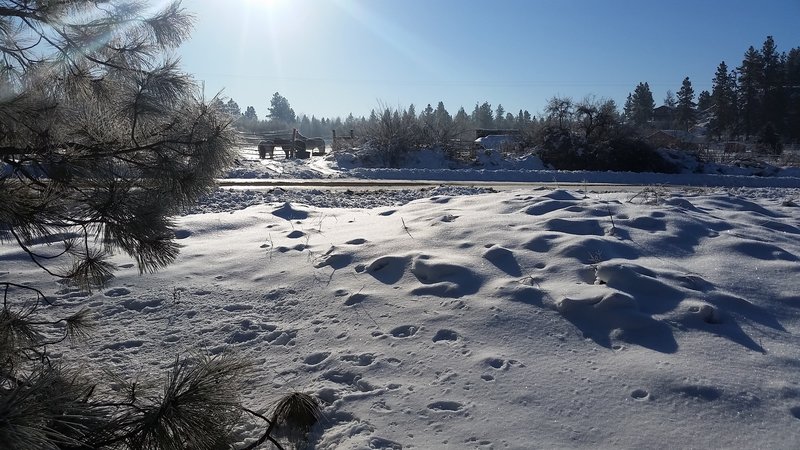 Palisades Park is bordered by hobby farms.