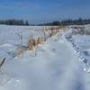 Snowshoe trails offer a great way to experience the James T. Slavin Conservation Area.