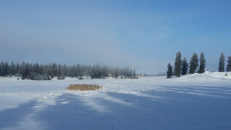 A bluebird day makes for a gorgeous journey around the Main Trail at James T. Slavin Conservation Area.