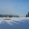 A bluebird day makes for a gorgeous journey around the Main Trail at James T. Slavin Conservation Area.