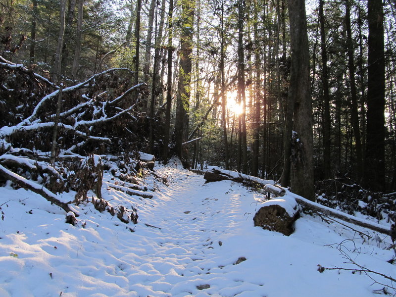 This trail sees fresh, untracked snow, if you don't count the wolves.