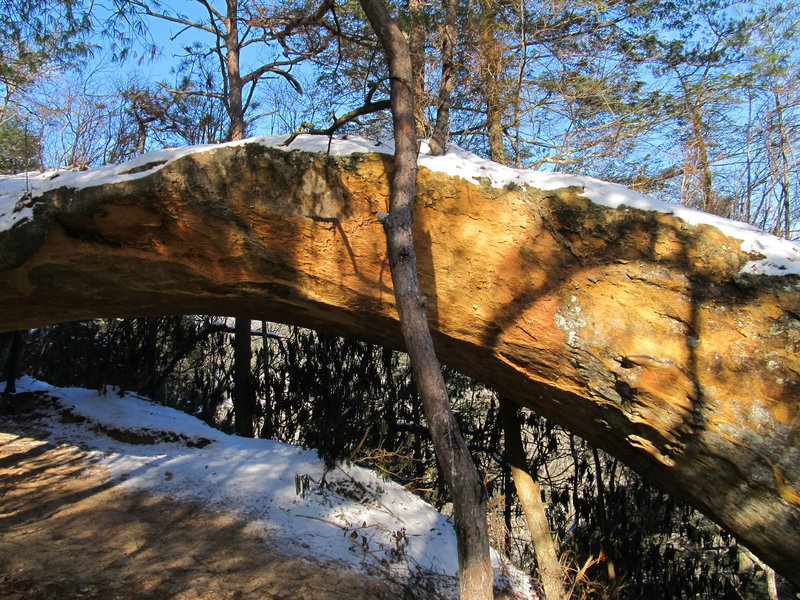 Indian Arch poses for a dramatic photo along the Sheltowee Trace.