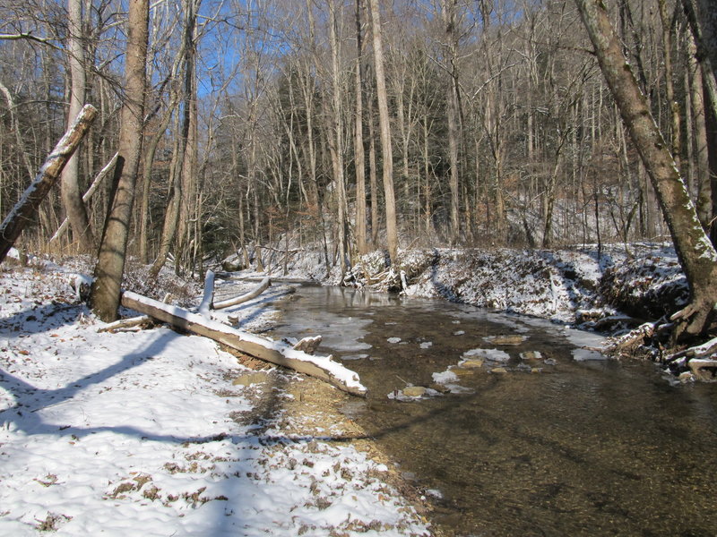 Sheltowee Trace crosses Salt Fork Creek. Watch your step.