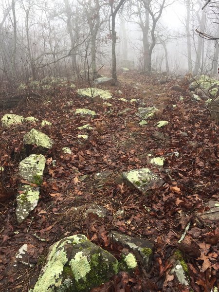 A rock-laden portion of the Rich Mountain Trail makes for a fun challenge. Table Top Boulder (close by) is great for a picnic lunch.