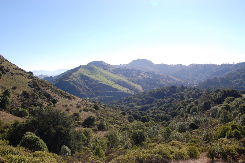 Skyline Trail: Fish Ranch Rd - Steam Trains Hiking Trail, Orinda ...