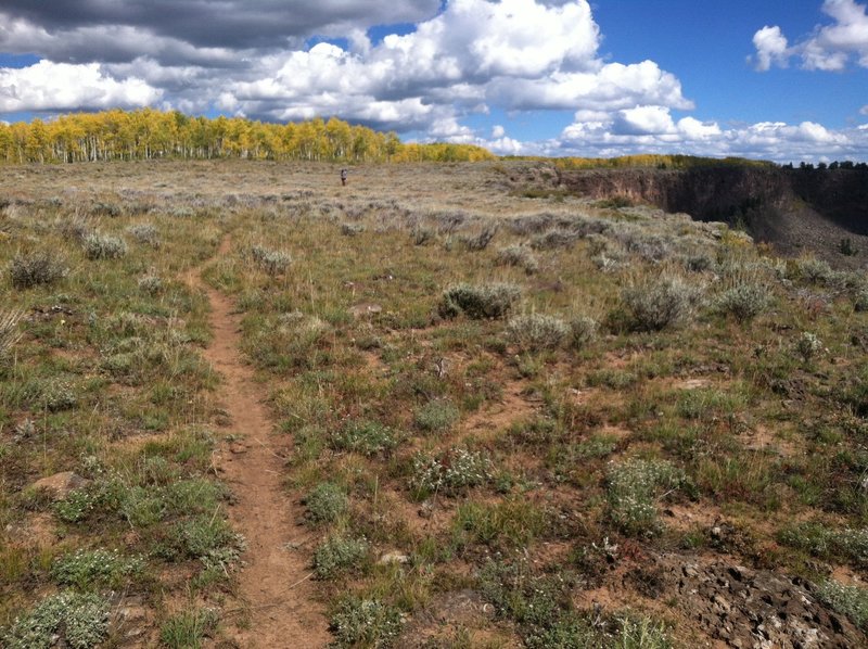 Grand Mesa offers some really nice singletrack.