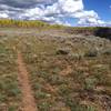 Grand Mesa offers some really nice singletrack.