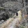 Just after the descent into Pugatory Canyon, heading toward the arroyo.