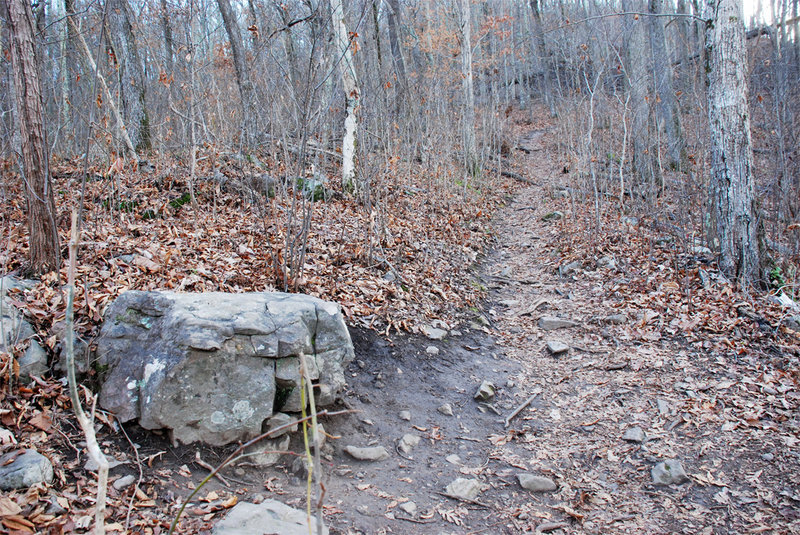 George Disney Trail Hiking Trail, Dalton, Georgia