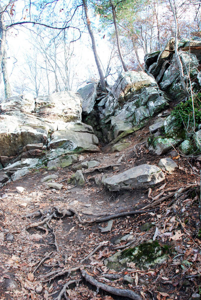 Hands are required for this scramble over the rocks at the top of the intense grades (January 2017).