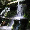 Water cascades over Diamond Notch Falls in the dim forest light.