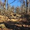 Turkey Mountain's Blue Trail has spots that are rocky underfoot.