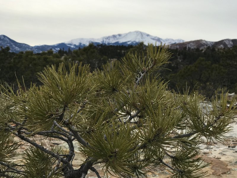 Pike's Peak in the background.