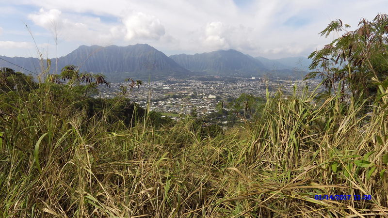 A great view of Kaneohe awaits on the trail.