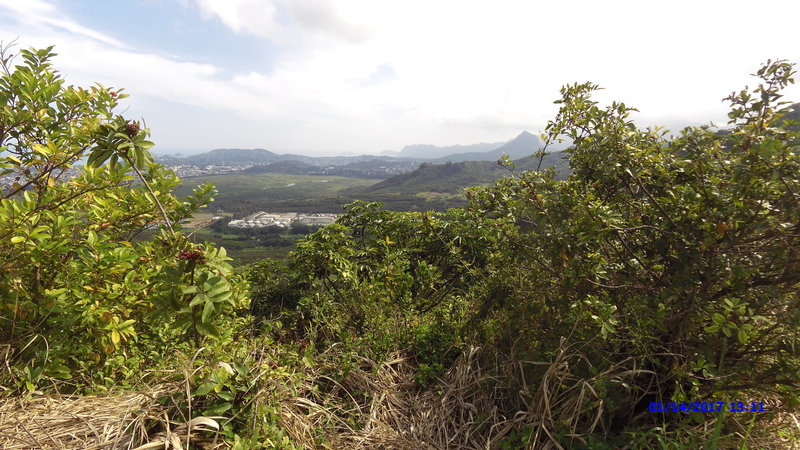 At this point on the trail, look over your shoulder for a great view to Makapuu.