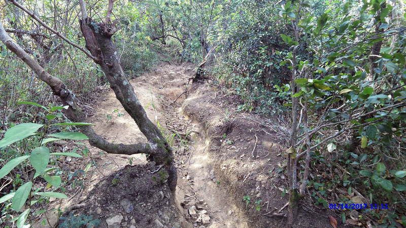 One of the climbs in Friendship Garden is severely eroded.
