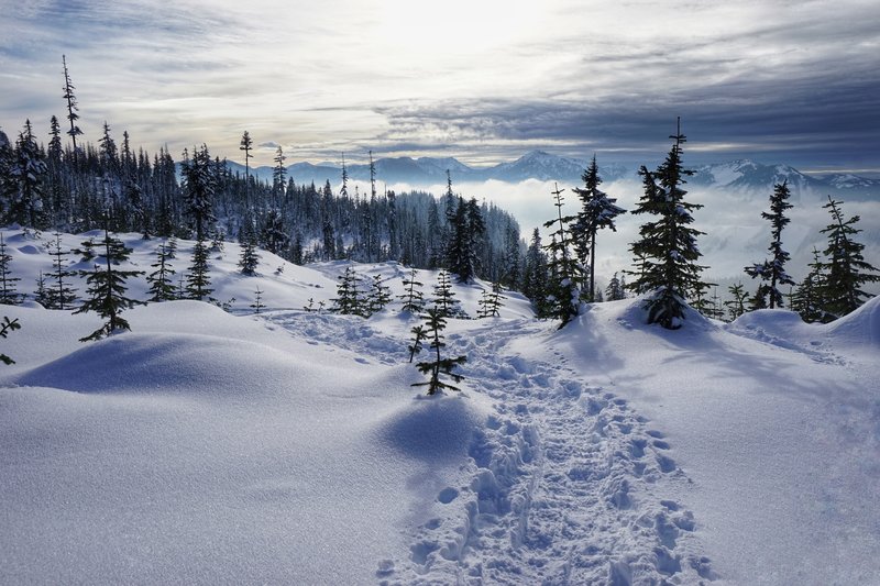 The trail levels out near the top, where the views open up as you approach the last stretch.