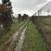 The trail makes its way between two fences as it climbs back up the hill.