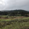 The trail re-enters Rancho San Antonio, and views of the hills above the preserve come into view.