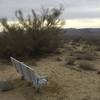 Scenic views are easy to find from the benches along the Bajada Nature Trail.