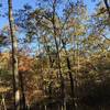 Beautiful fall foliage awaits in Meramec State Park.