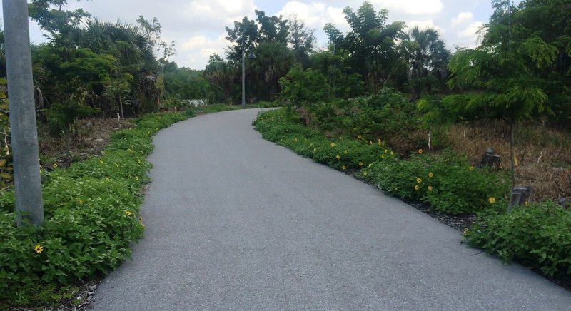 Restoration plantings along the trail provide a nice pop of color.