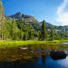 Shadow Creek gurgles near the John Muir Trail in the Ansel Adams Wilderness.
