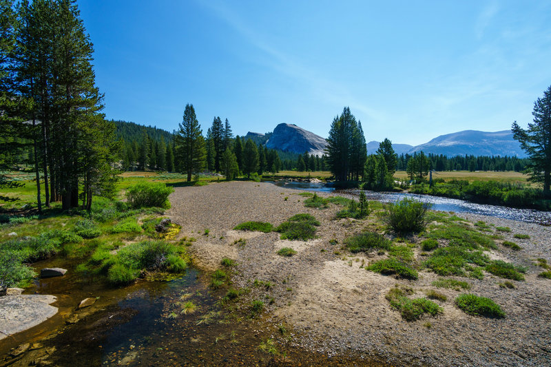 Tuolumne Meadows lies lush and verdant on the John Muir Trail in Yosemite National Park.