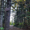 The Plaza Lake Trailhead off Abbot Road (Forest Road 4610) is easy to spot. Photo by Cameron Brown.