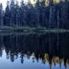 A short, half-mile hike in leads you to the shoreline of Plaza Lake. Photo by Cameron Brown.