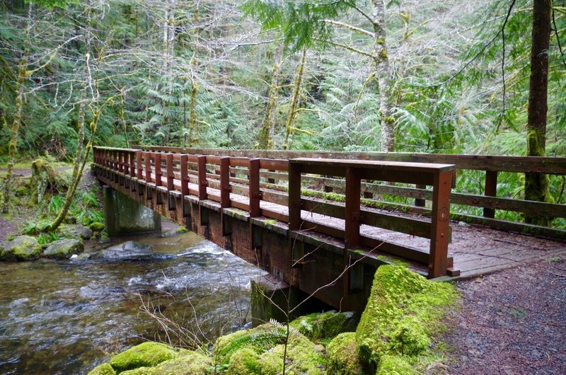 Still Creek Trail actually starts in Camp Creek Campground at this bridge over Camp Creek. The 1.6 mile trail ends at Still Creek. Photo by John Sparks.