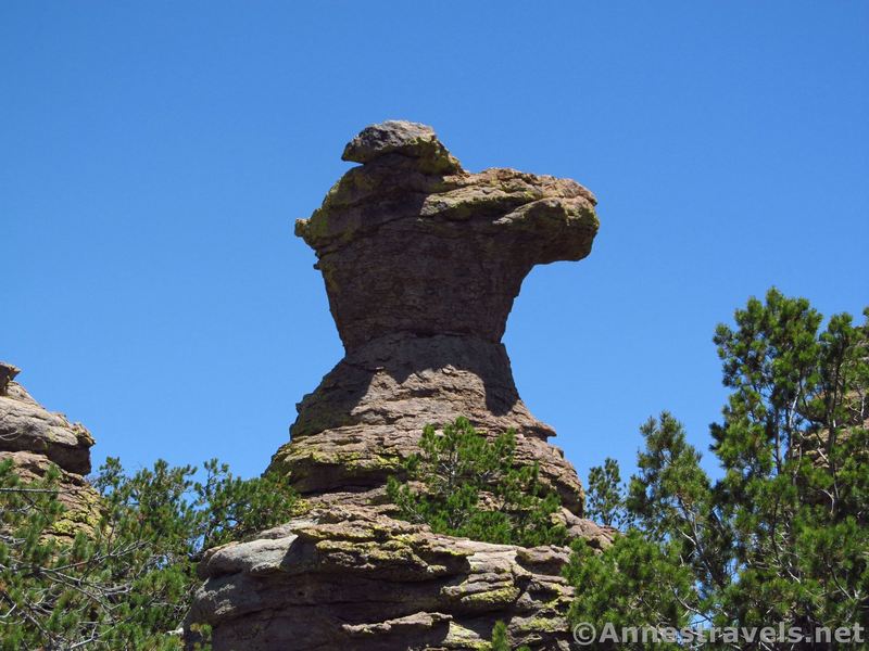 The Camel's Head formation stands along the Heart of Rocks Loop.