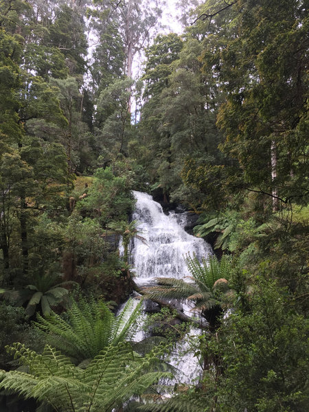 Triplet Falls hides under a dense forest canopy.