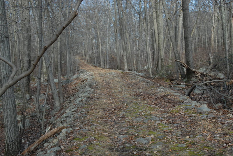 Harriman State Park offers beautiful forest roads and trails.