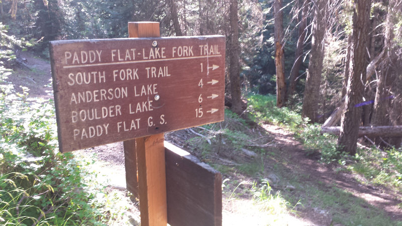 This is the junction of the East Fork Lake Fork Trail and the Anderson Lake Trail.