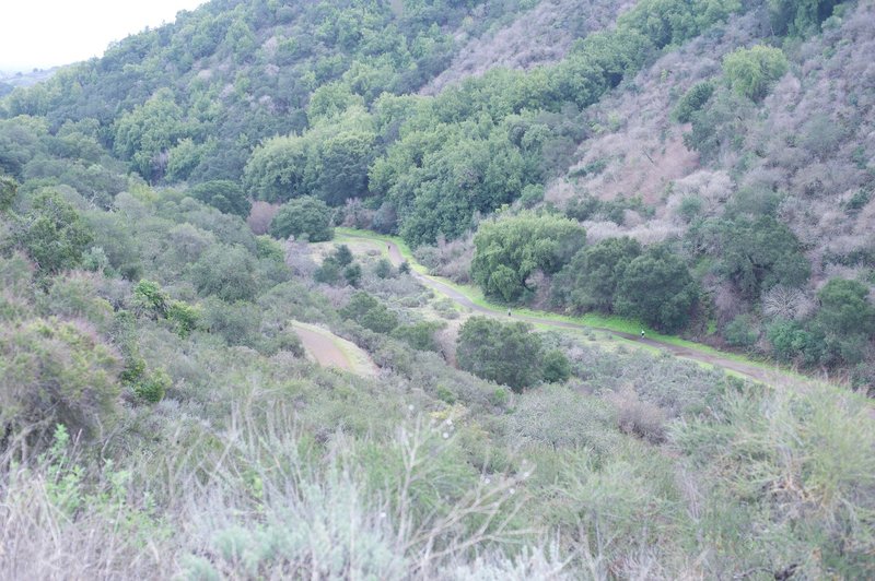 The Rogue Valley Trail parallels the Chamise Trail as both trails make their way deeper into the preserve.