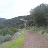 The trail climbs higher into the preserve. While the majority of the trail isn't steep, the trail climbs for almost 2 miles before leveling out.