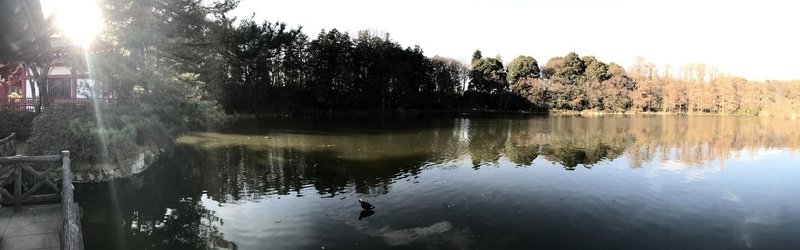 The view of Sanpoji is beautiful from this spot near the shrine.