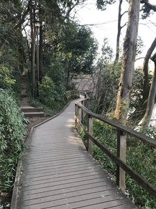 The trail is well built through this area.