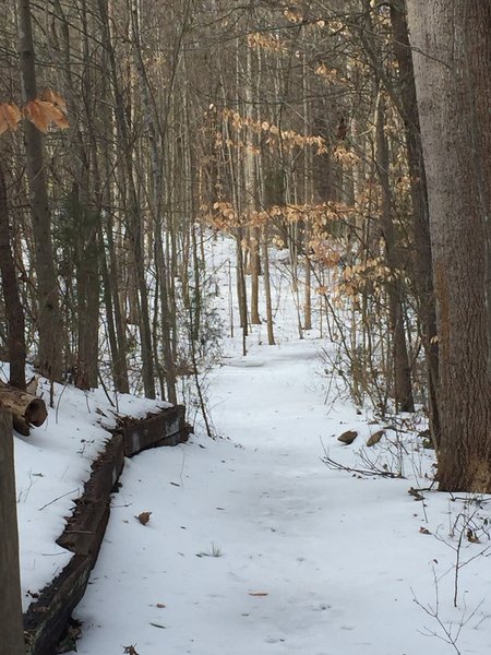 A light blanket of snow covers the Chickadee Trail in January.