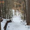 A light blanket of snow covers the Chickadee Trail in January.