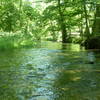 The Red Loop at Hildacy Farm Preserve offers a beautiful view of Crum Creek.